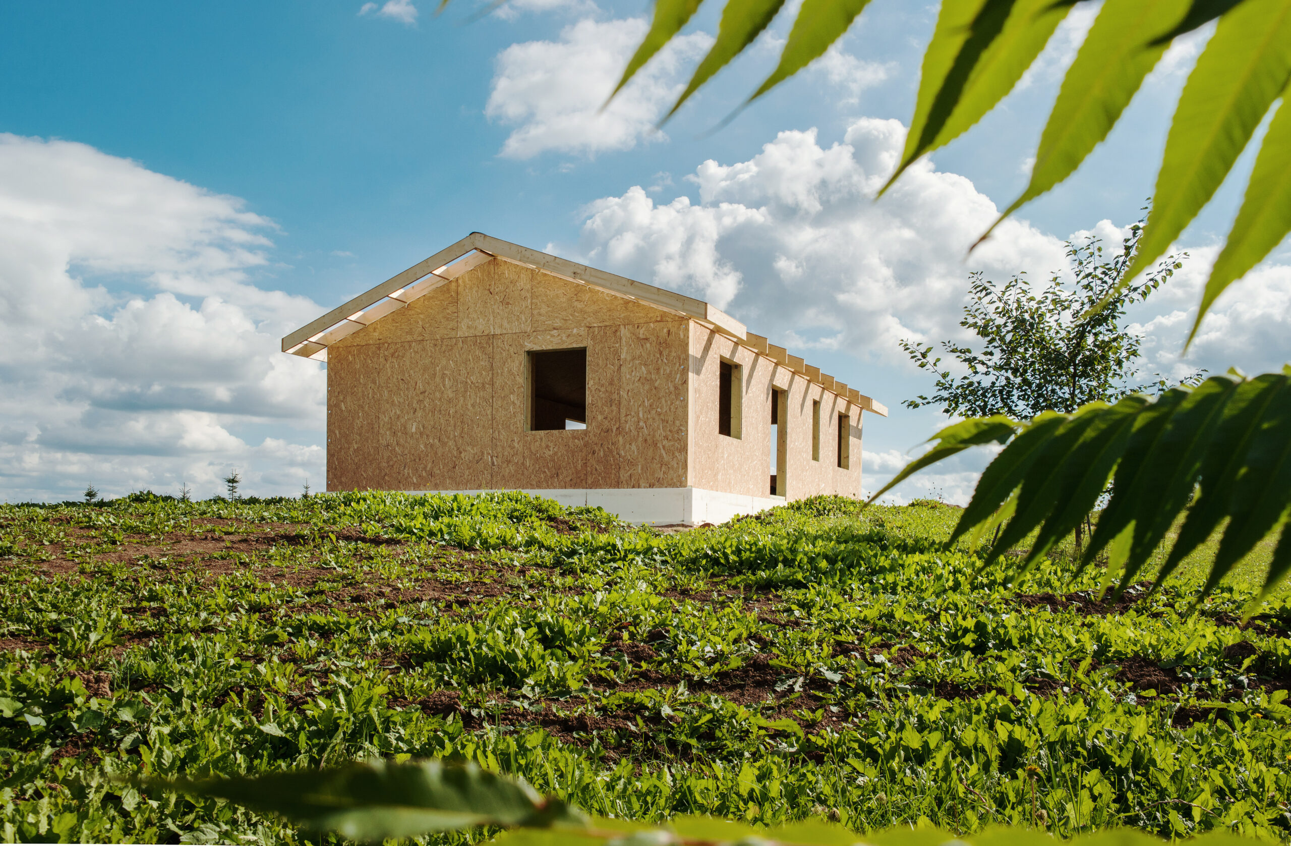 about-us-gallery00007